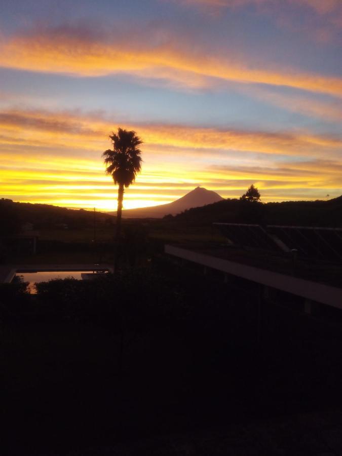 Quinta Do Vale Guest House ออร์ตา ภายนอก รูปภาพ